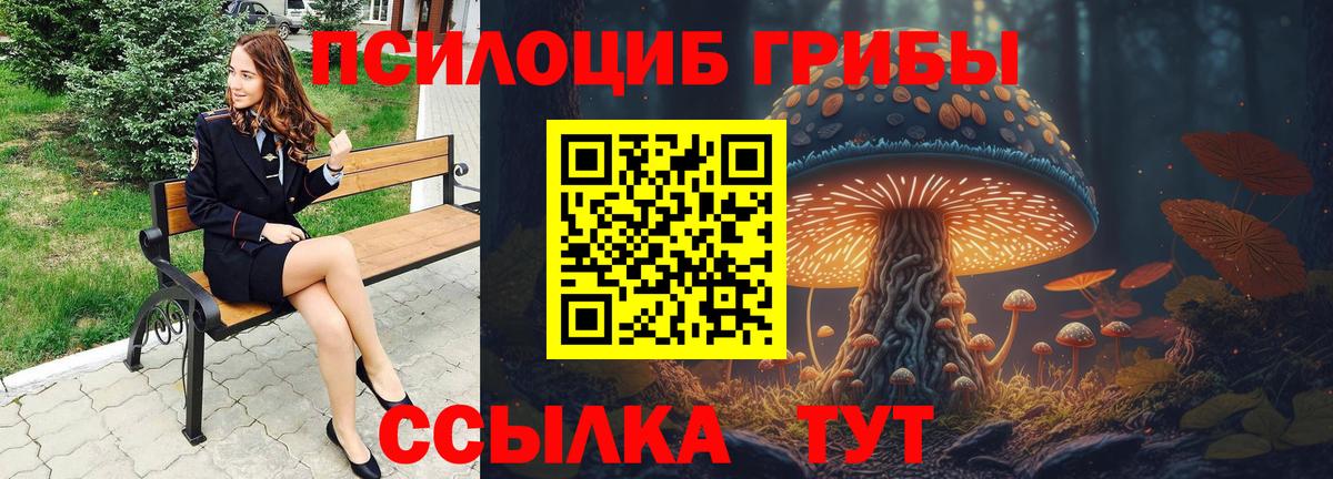 Унеча  Галлюциногенные грибы MAGIC MUSHROOMS  где продают   Вход с VPN  Псилоцибиновые грибы прущие грибы 